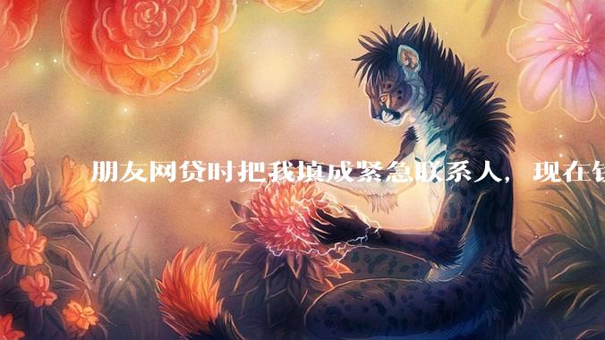 朋友网贷时把我填成紧急联系人，现在钱还不上，催收天天给我打电话该怎么办？
