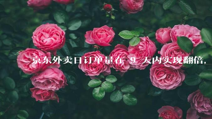 京东外卖日订单量在 9 天内实现翻倍，达到 1000 万单，背后的策略是什么？