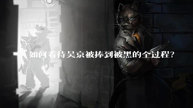 如何看待吴京被捧到被黑的全过程？
