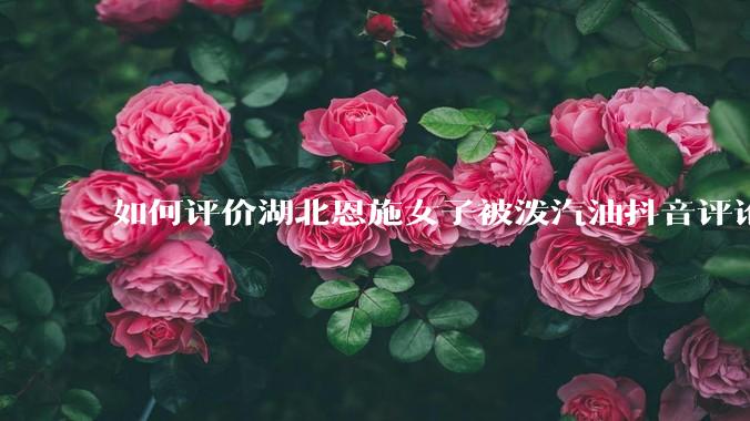 如何评价湖北恩施女子被泼汽油抖音评论区？